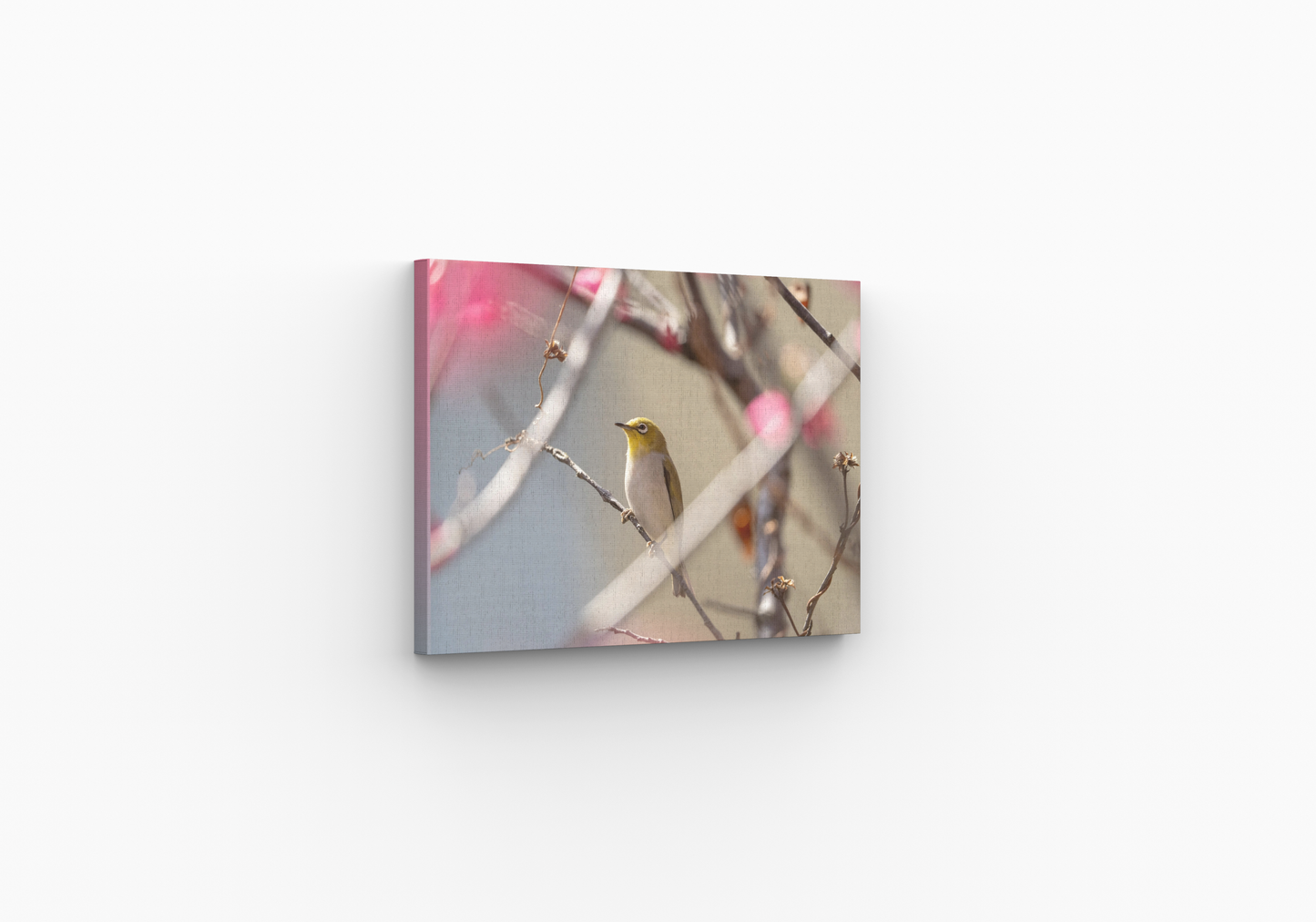 Box frame canvas