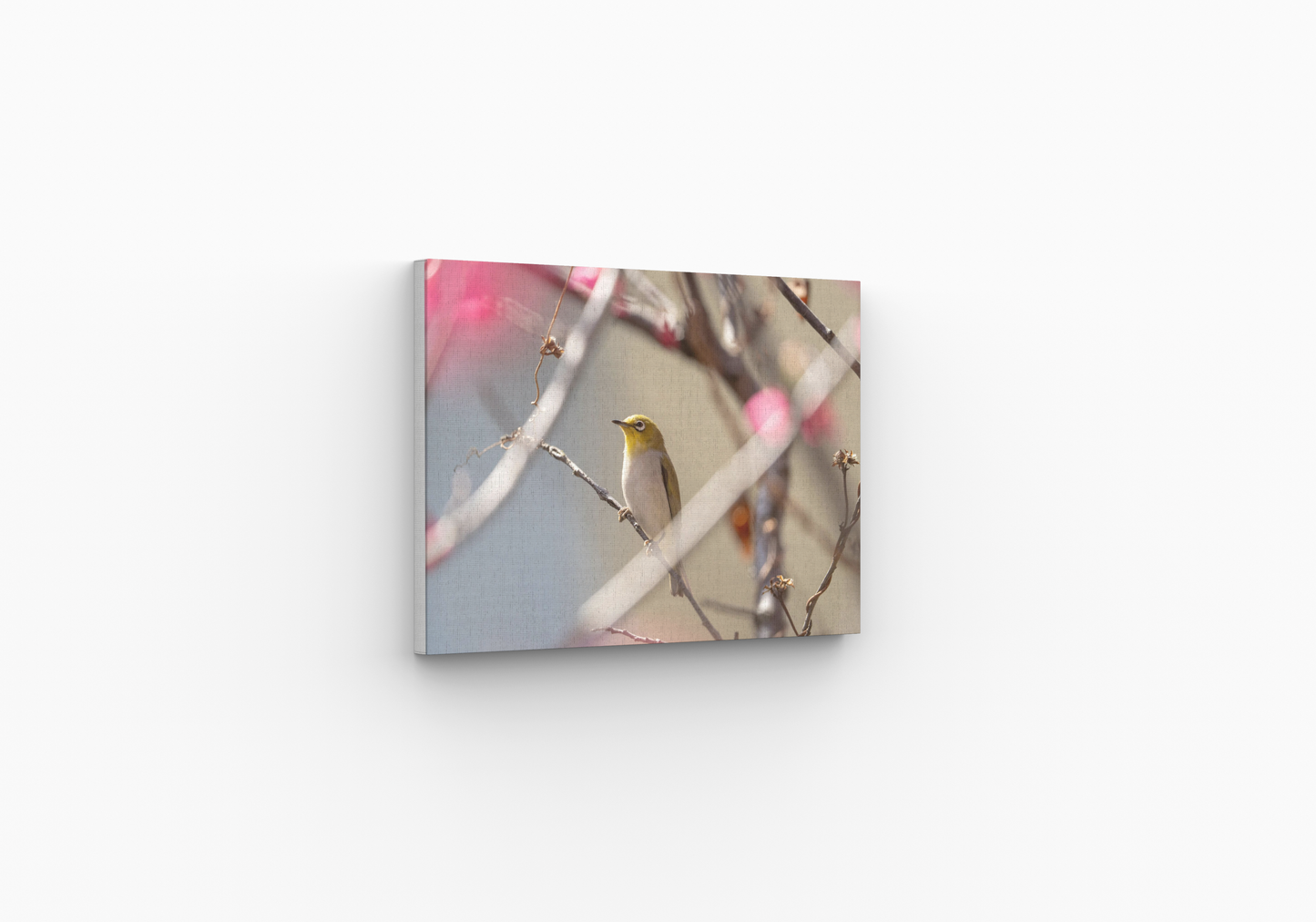 Box frame canvas