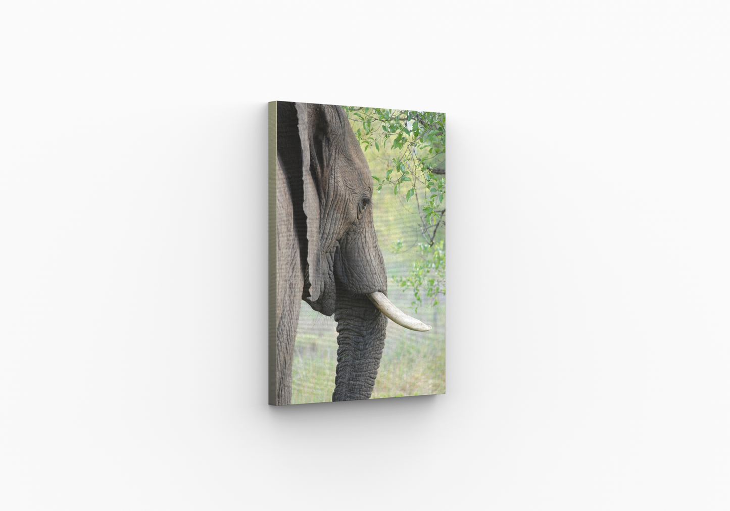 Bevelled frame canvas