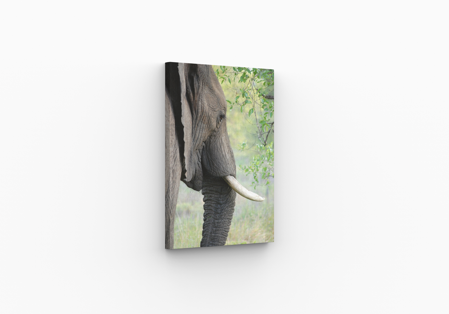 Bevelled frame canvas