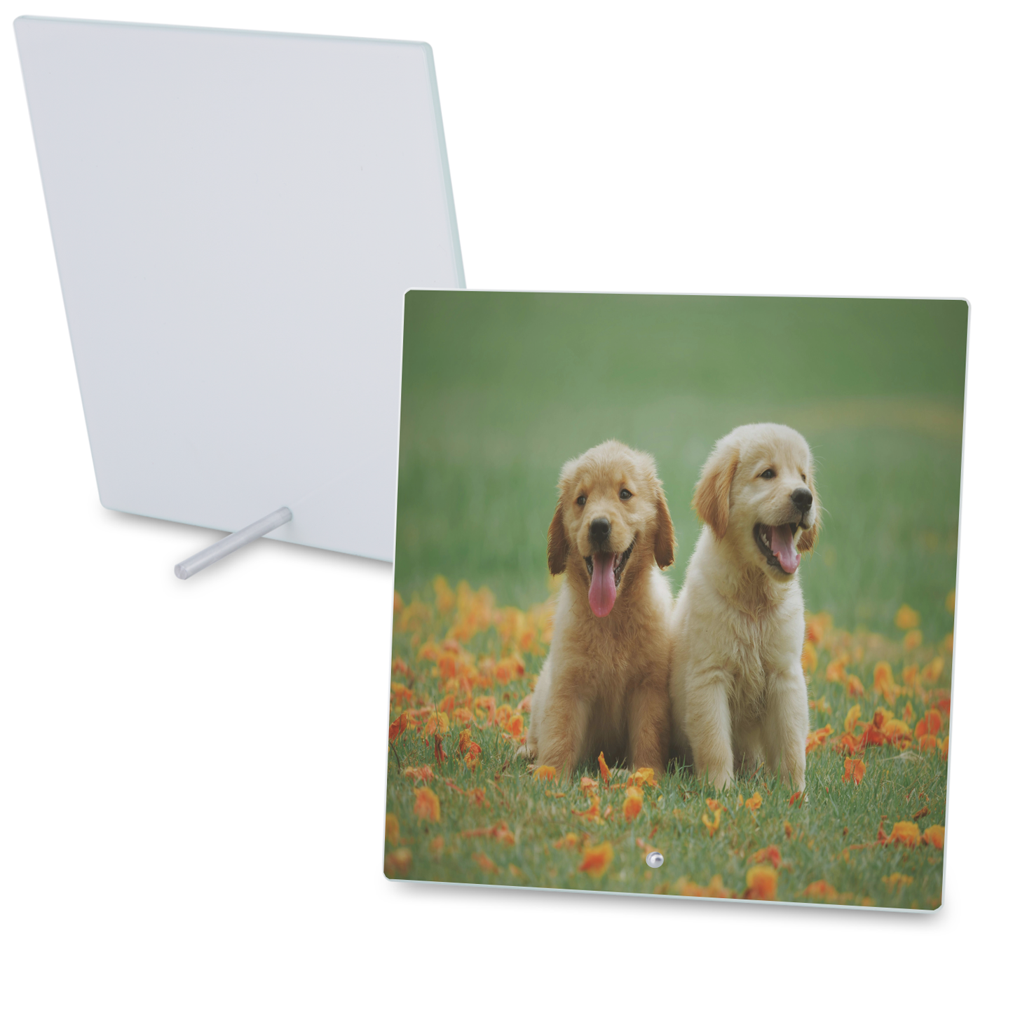 Glass Photo Tile