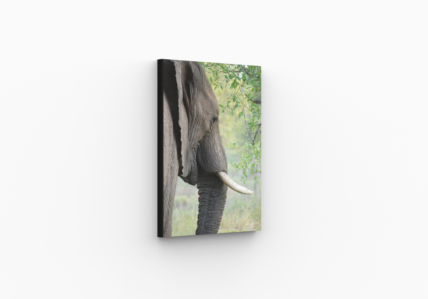 Bevelled frame canvas